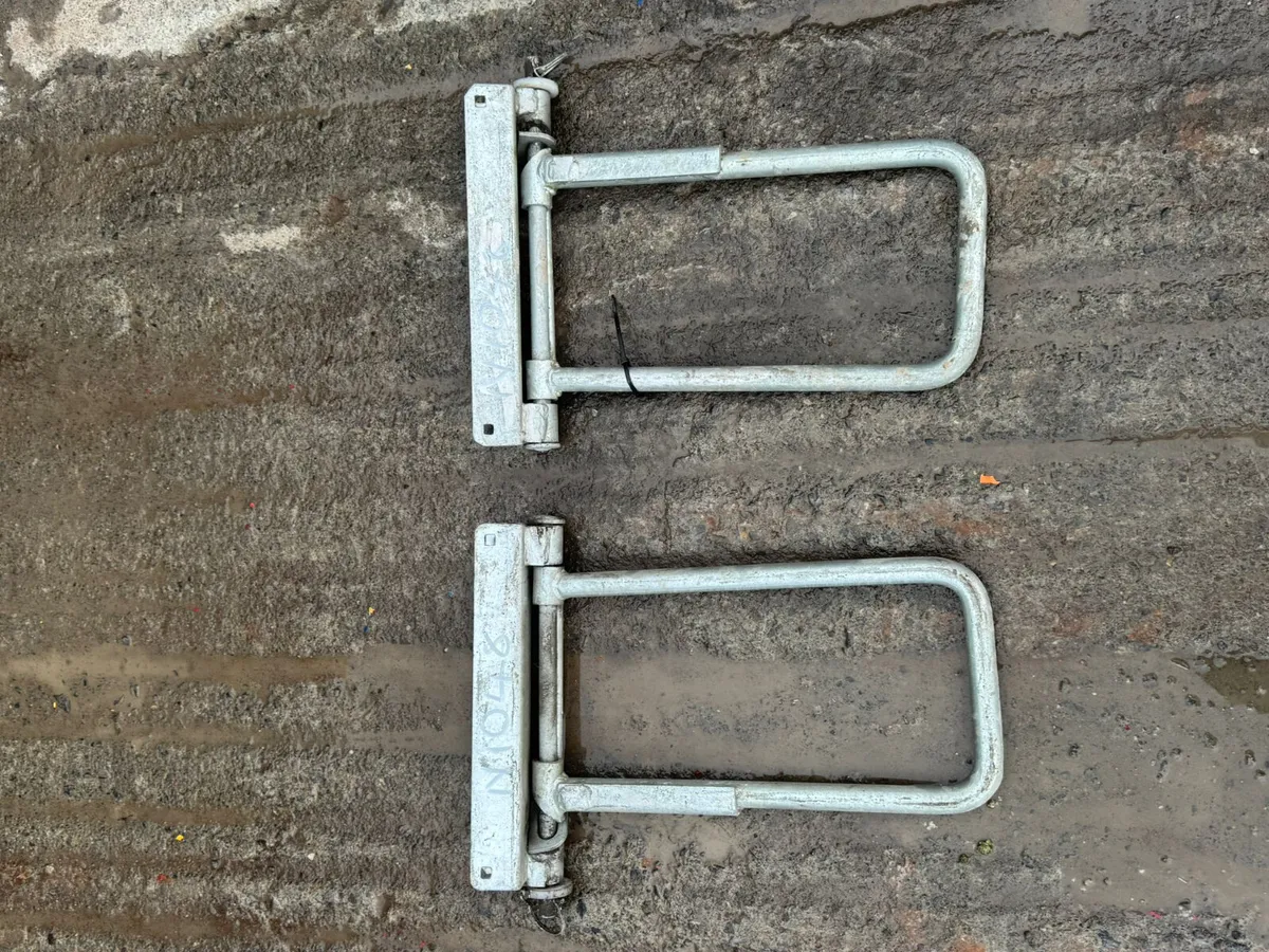 Lely One Way Gate - Image 3