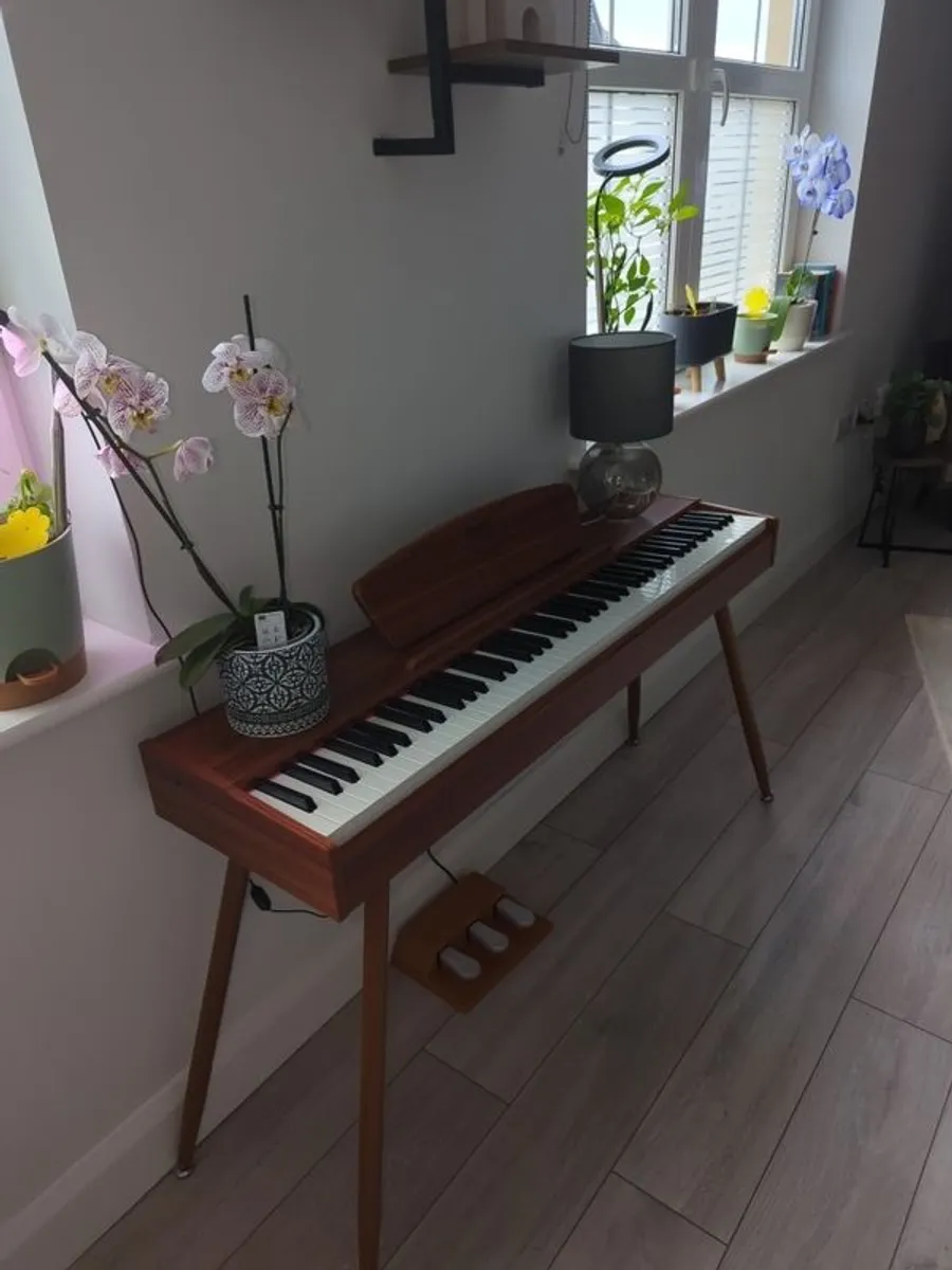 Donner DDP-80 Wooden Style 88 Key Weighted Digital Piano with Stand & Pedal - Walnut. 12 months old. Barely used. Mint condition - Image 1