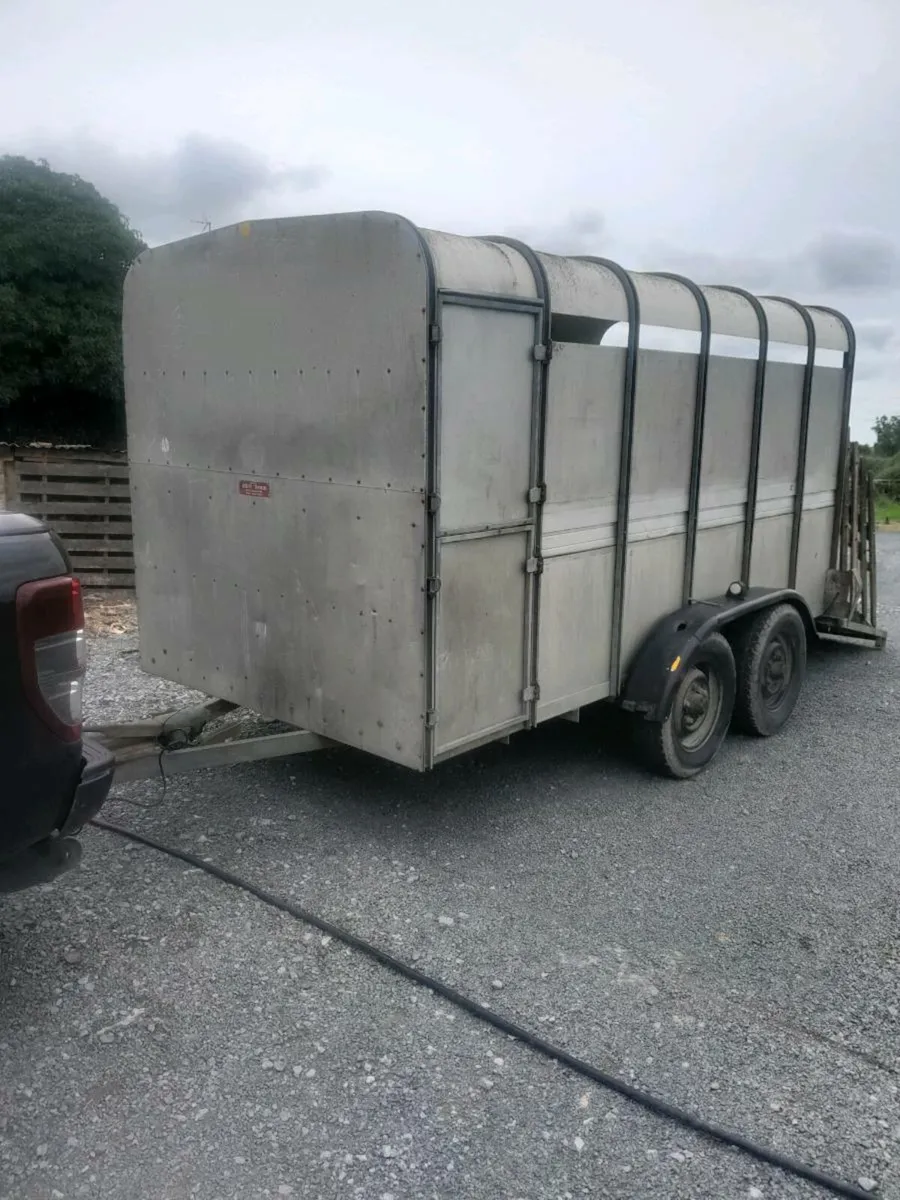 Ifor  williams cattle trailer 12by6 cal 0868782672 - Image 1