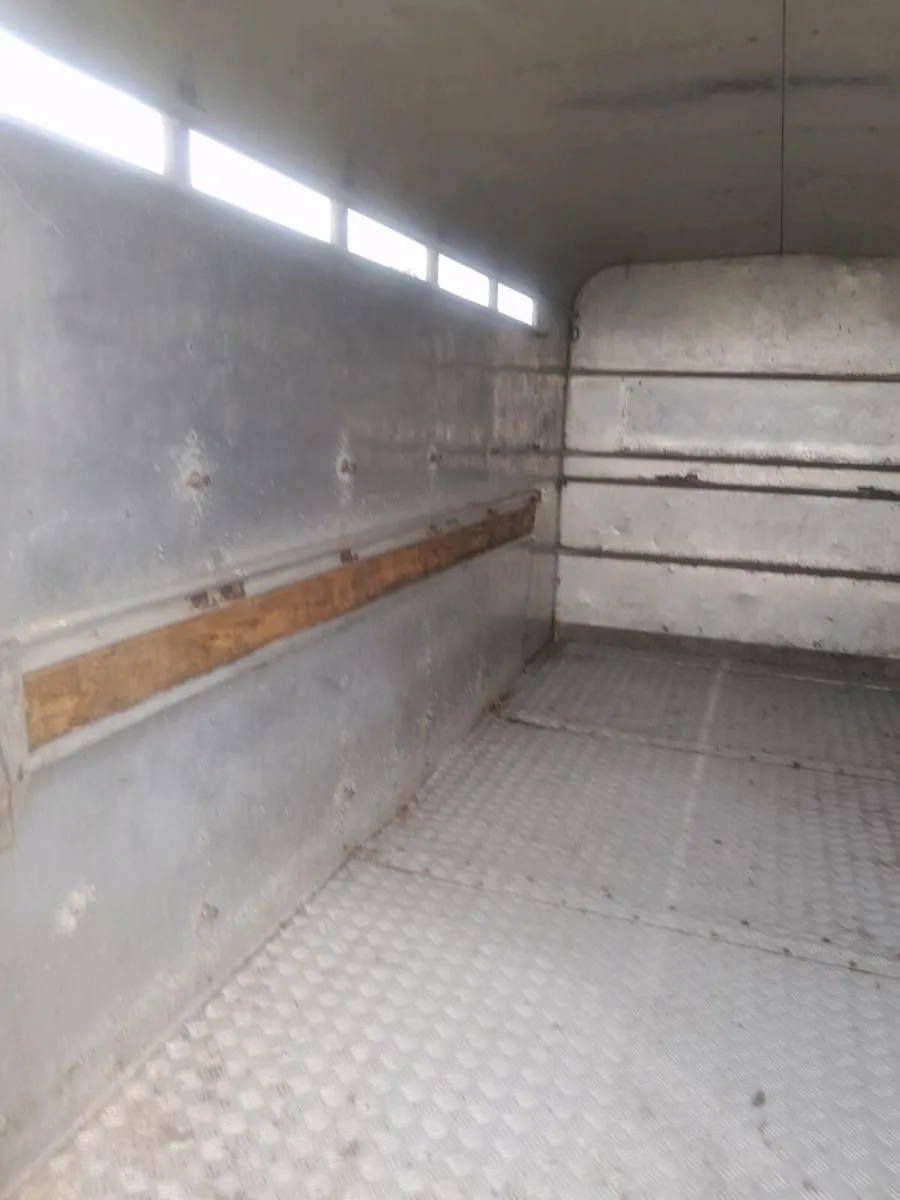 Ifor  williams cattle trailer 12by6 cal 0868782672 - Image 2