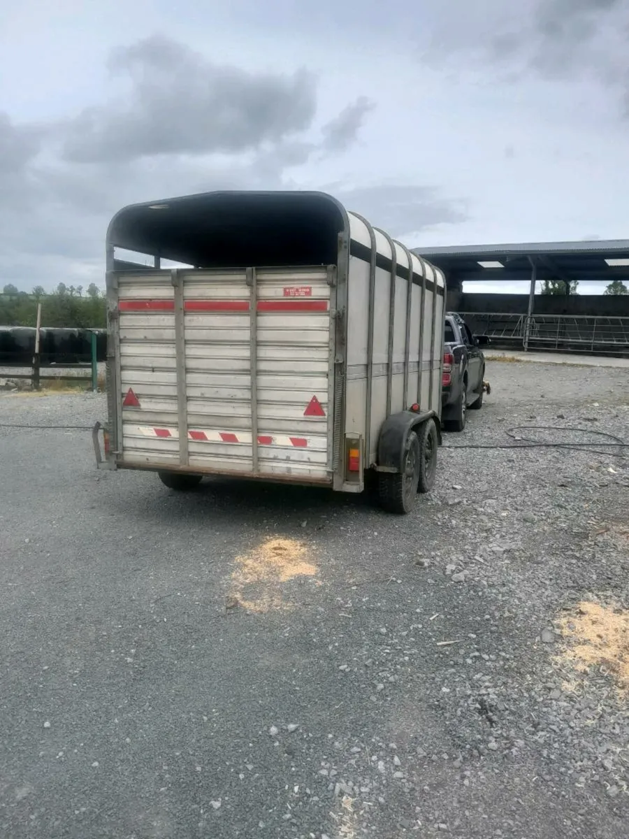 Ifor  williams cattle trailer 12by6 cal 0868782672 - Image 3
