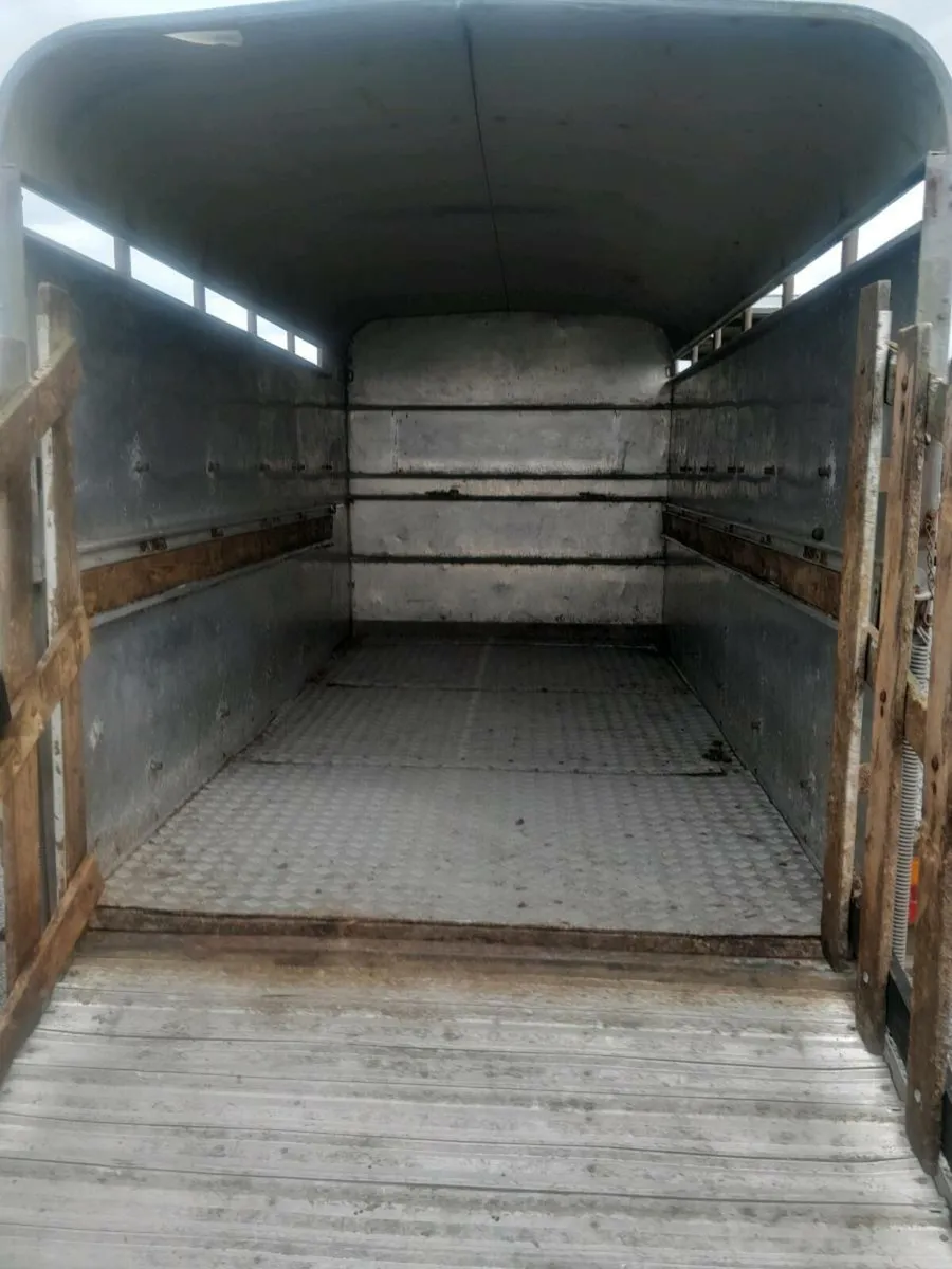 Ifor  williams cattle trailer 12by6 cal 0868782672 - Image 4