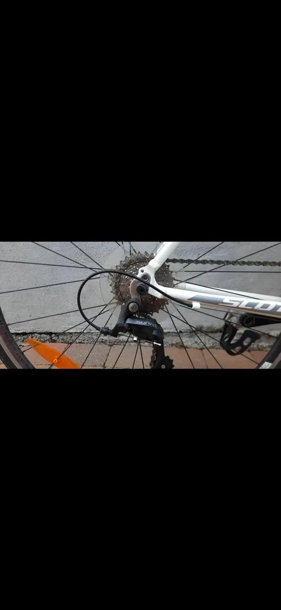Bicycle - Image 4