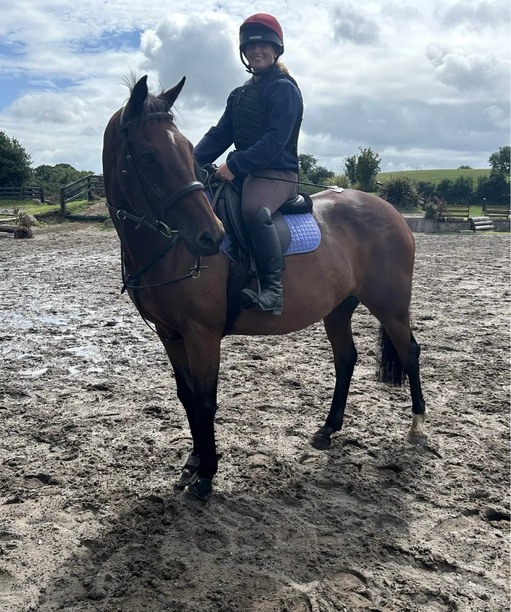 Horse - Image 1