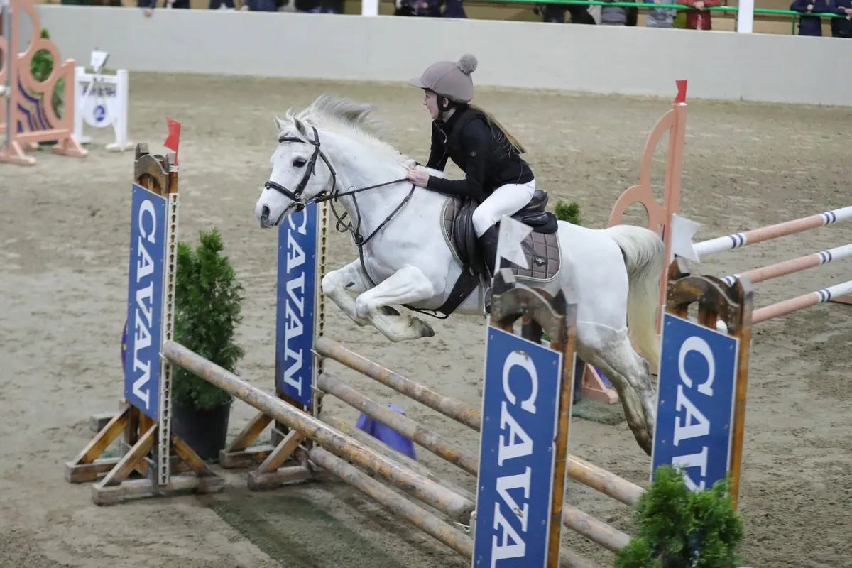 13.2 Pony - Image 1