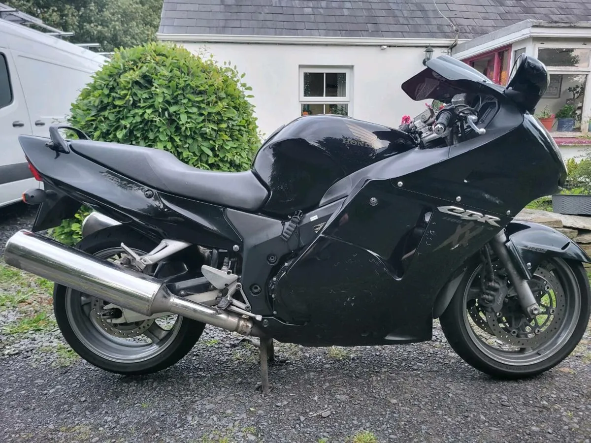 Honda blackbird - Image 1