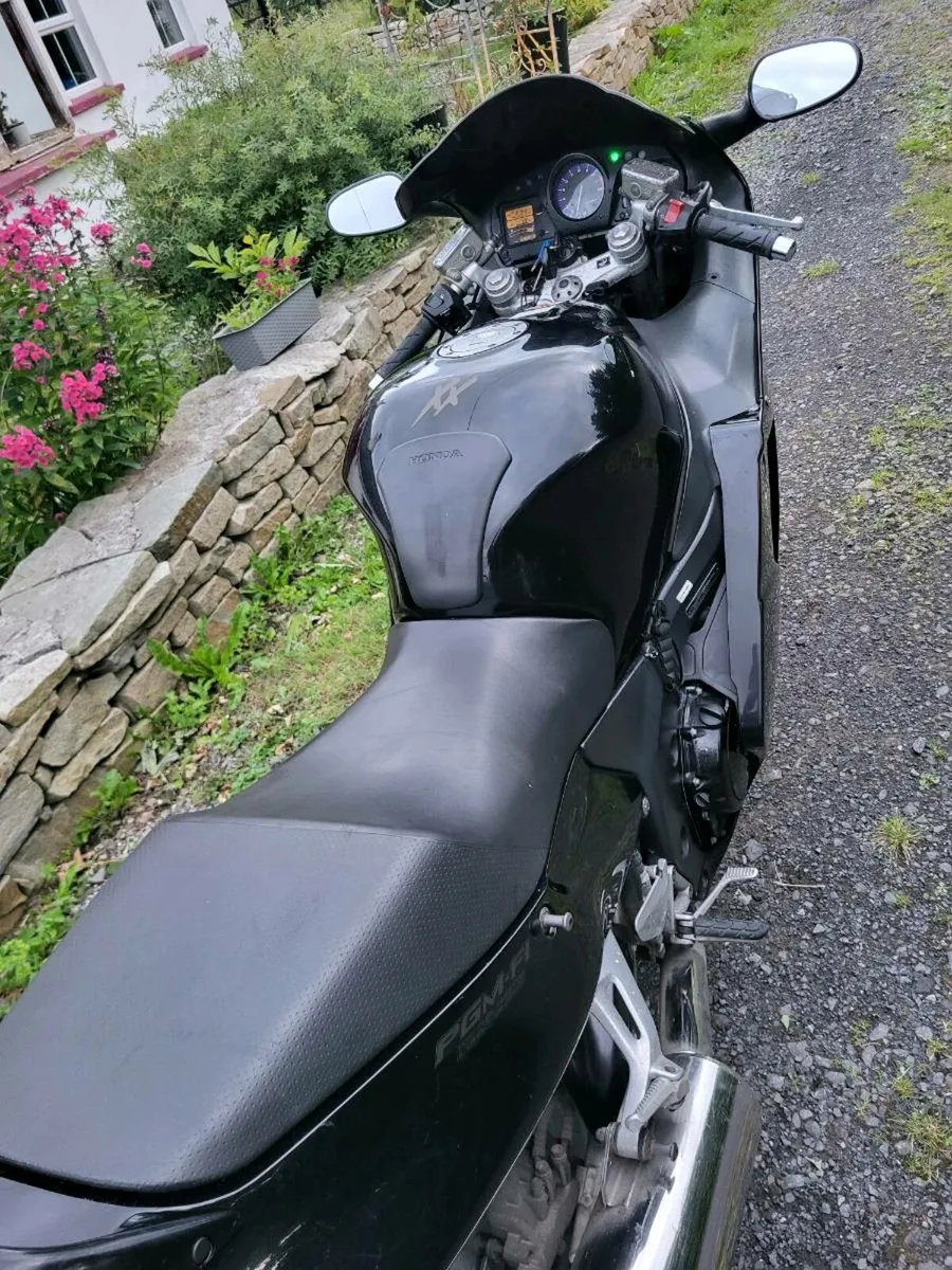 Honda blackbird - Image 2