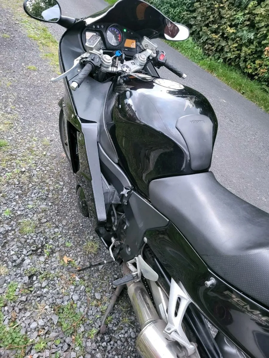 Honda blackbird - Image 3