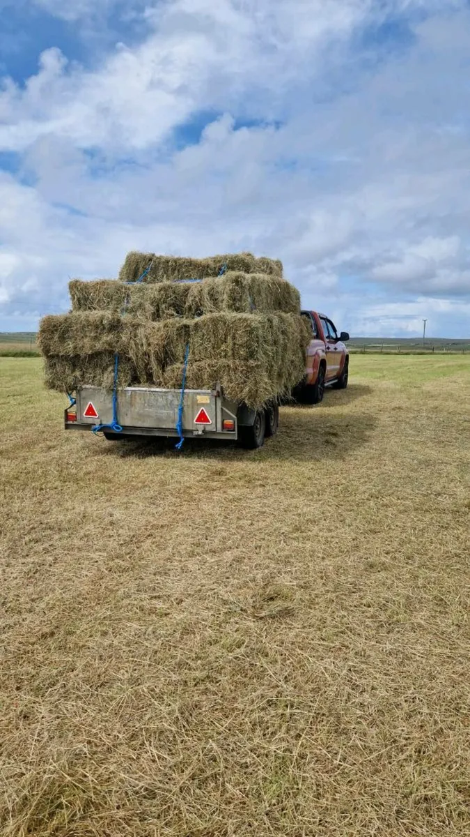 Quality square bails of hay - Image 1