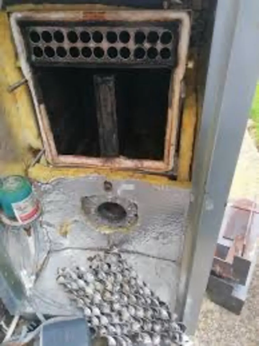 Boiler Service - Image 1