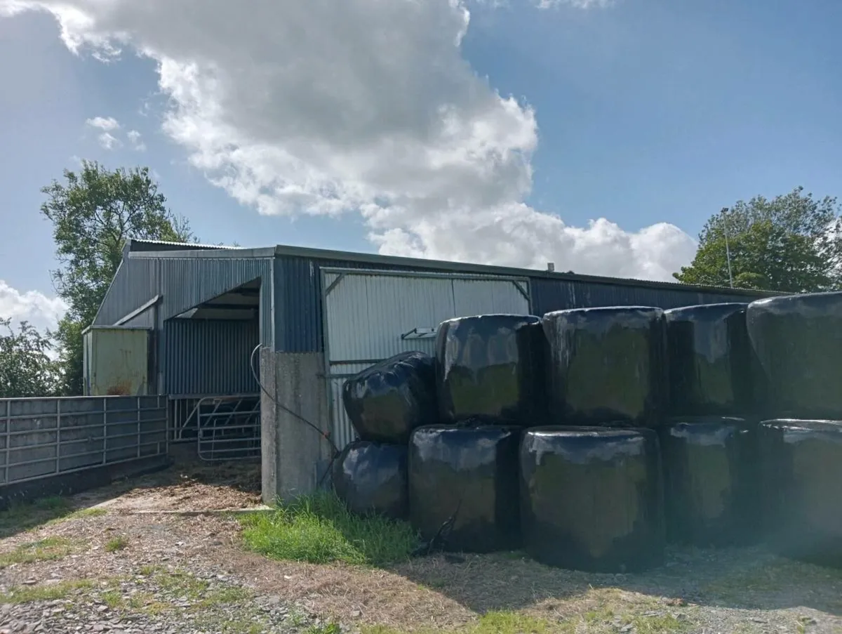 Shed slatted - Image 4