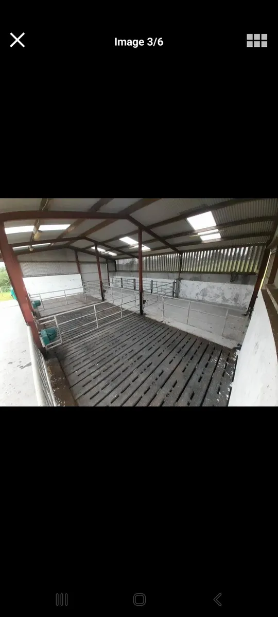 Shed/Winterage wanted for cattle - Image 1