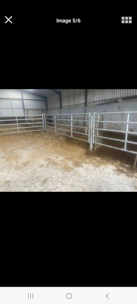 Shed/Winterage wanted for cattle - Image 2