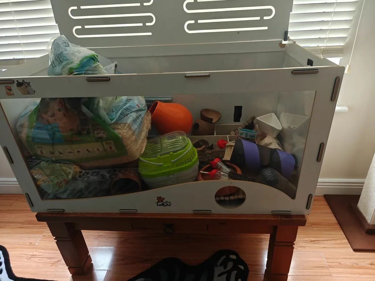 Hamster enclosure and accessories - Image 1