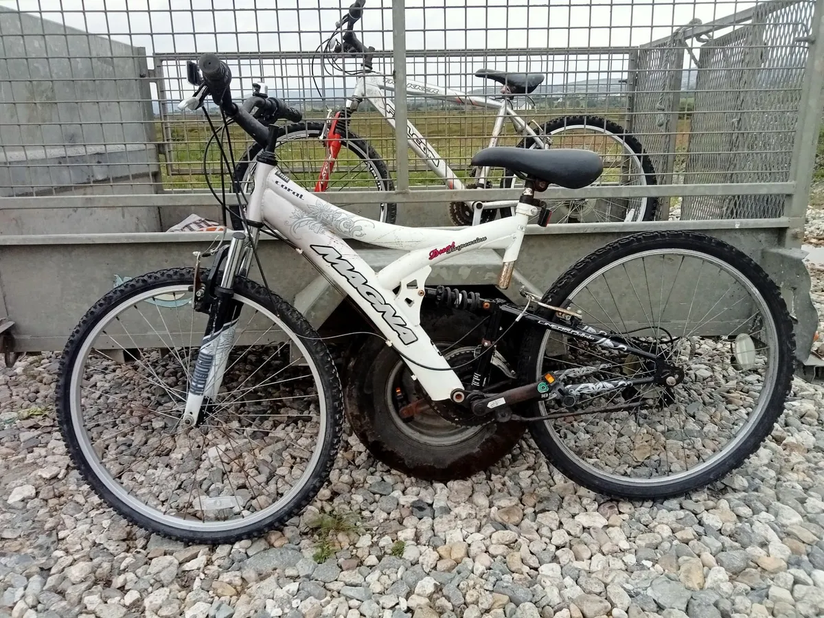 Bicycle - Image 4