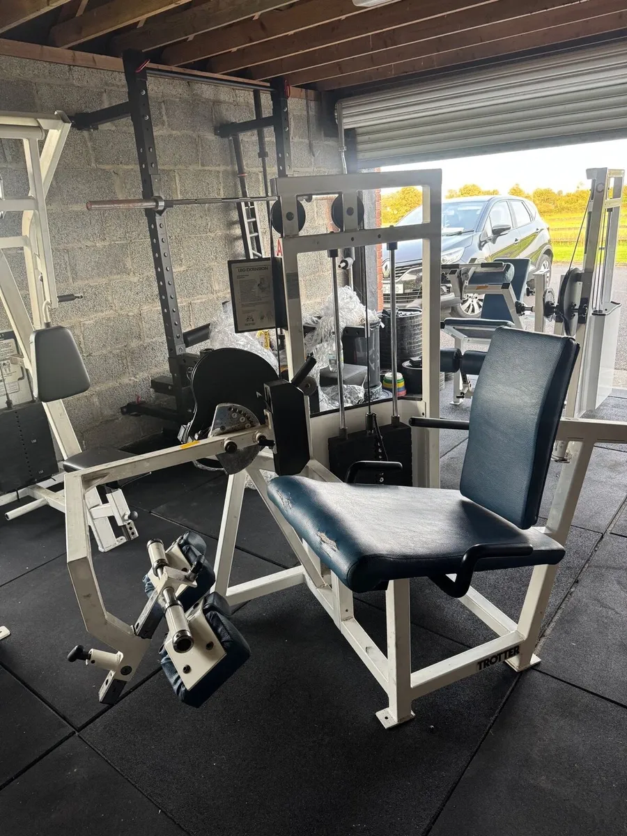 Cybex Trotter Seated Leg Curl & Leg Extension Set - Image 1