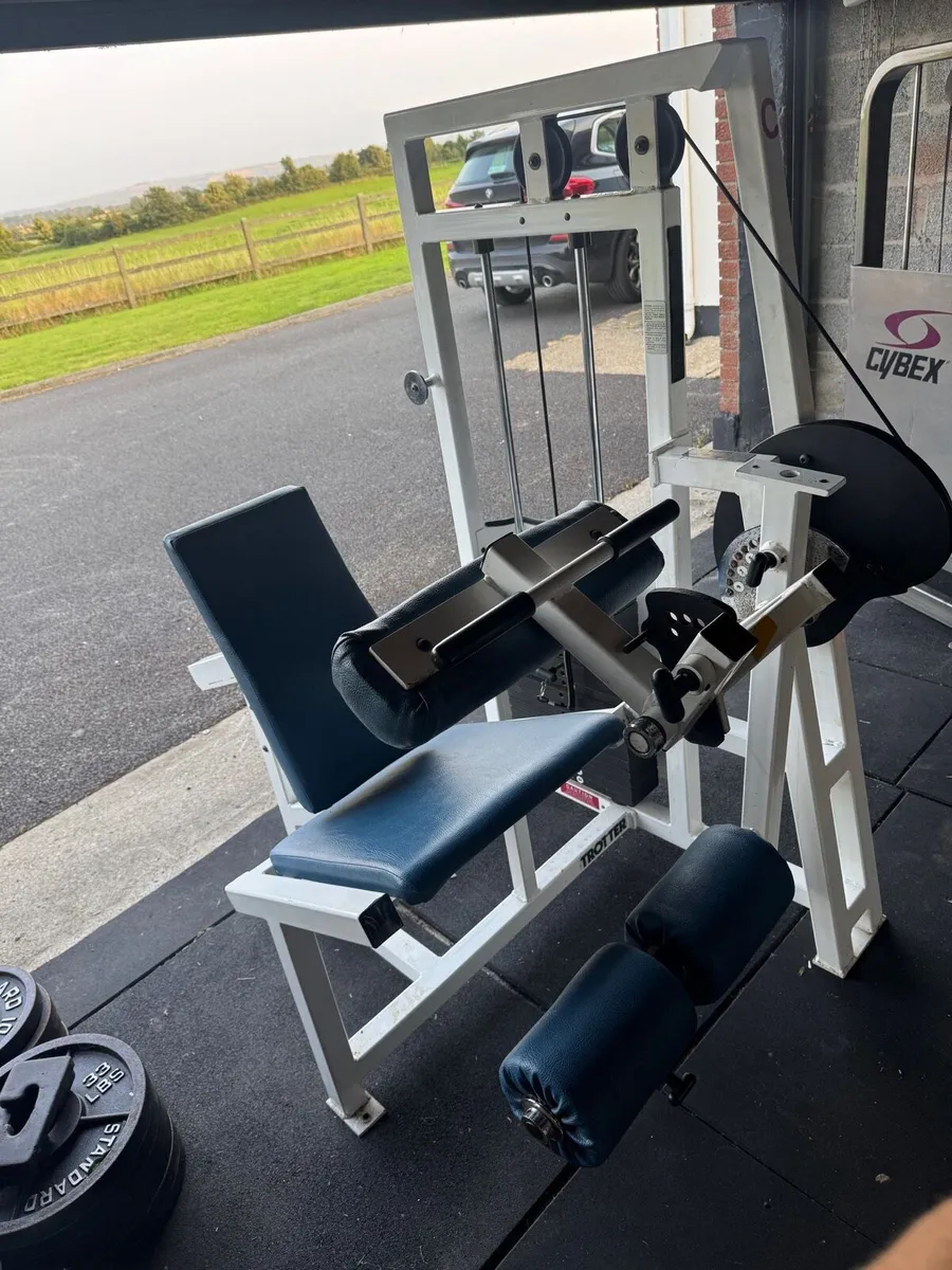Cybex Trotter Seated Leg Curl & Leg Extension Set - Image 2