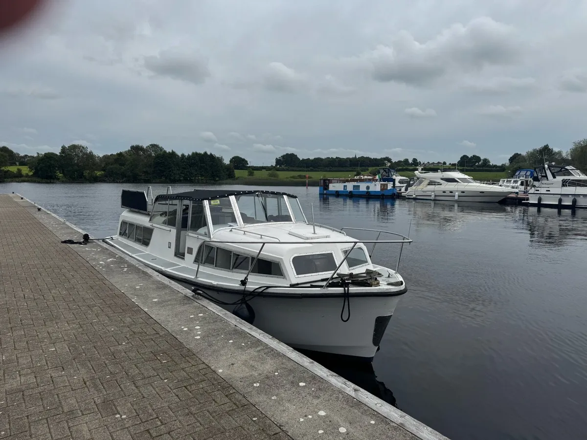 Broom skipper 30 - Image 2