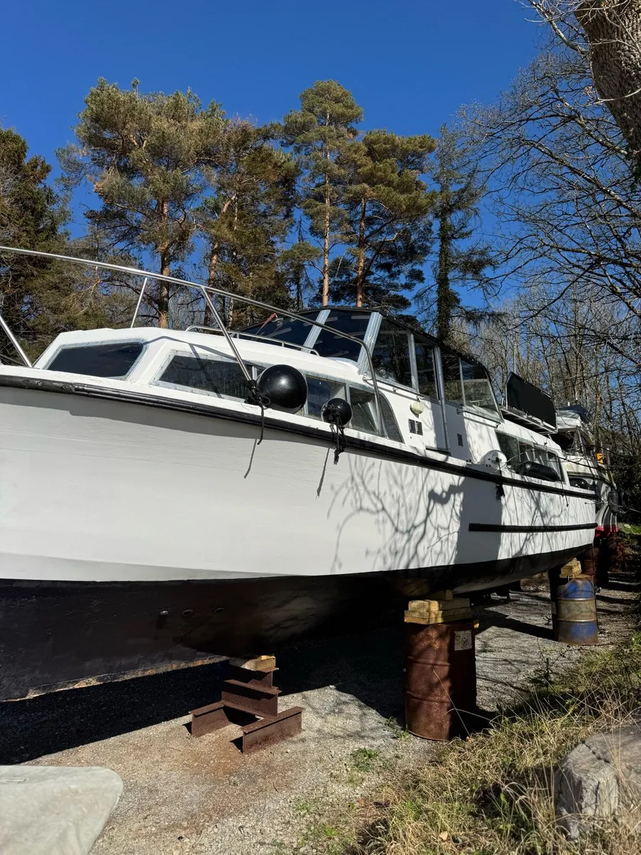 Broom skipper 30 - Image 1