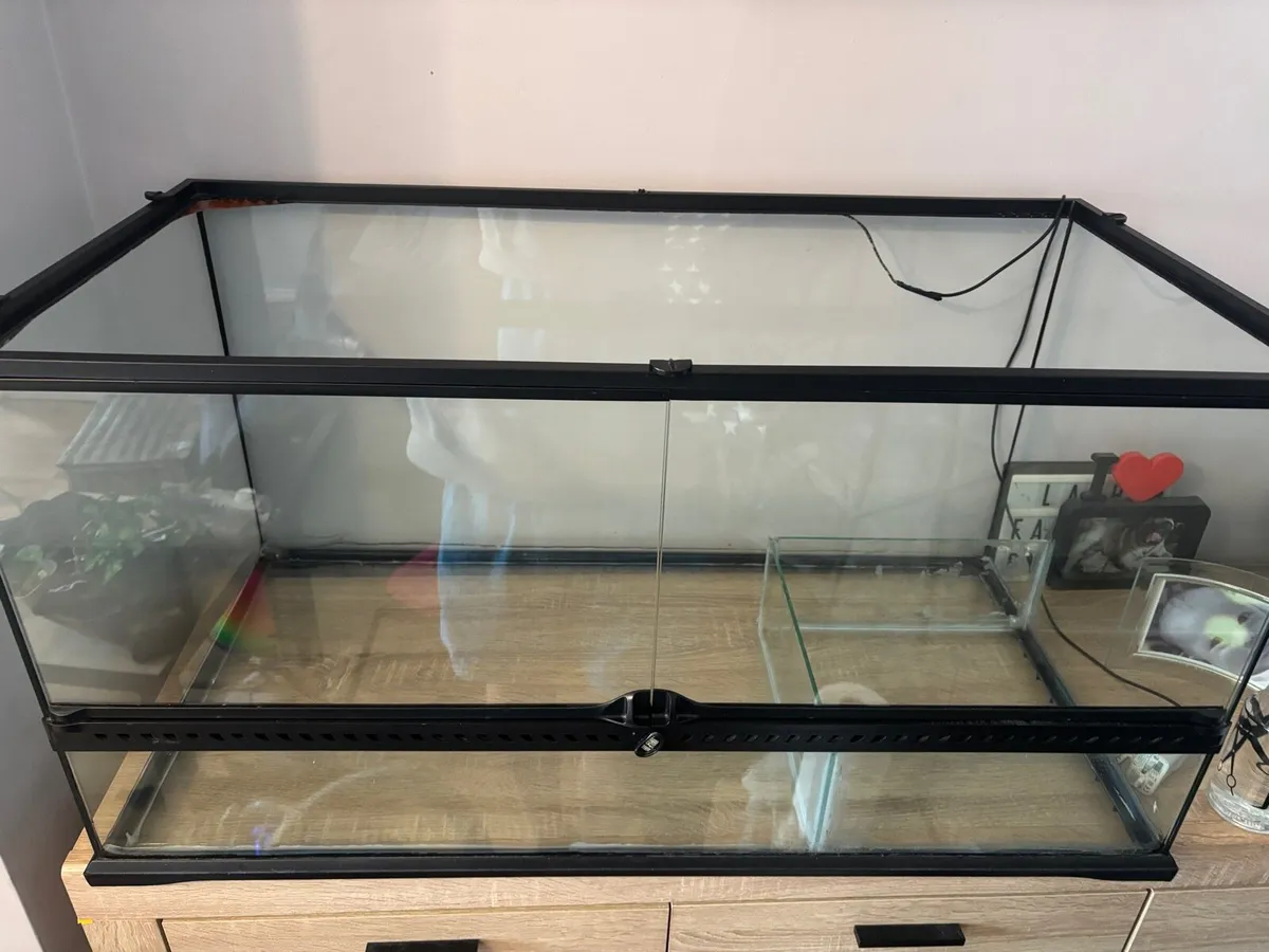 Corn snake + Exo Terra 36”x18”x18” Terrarium etc.. - Image 3