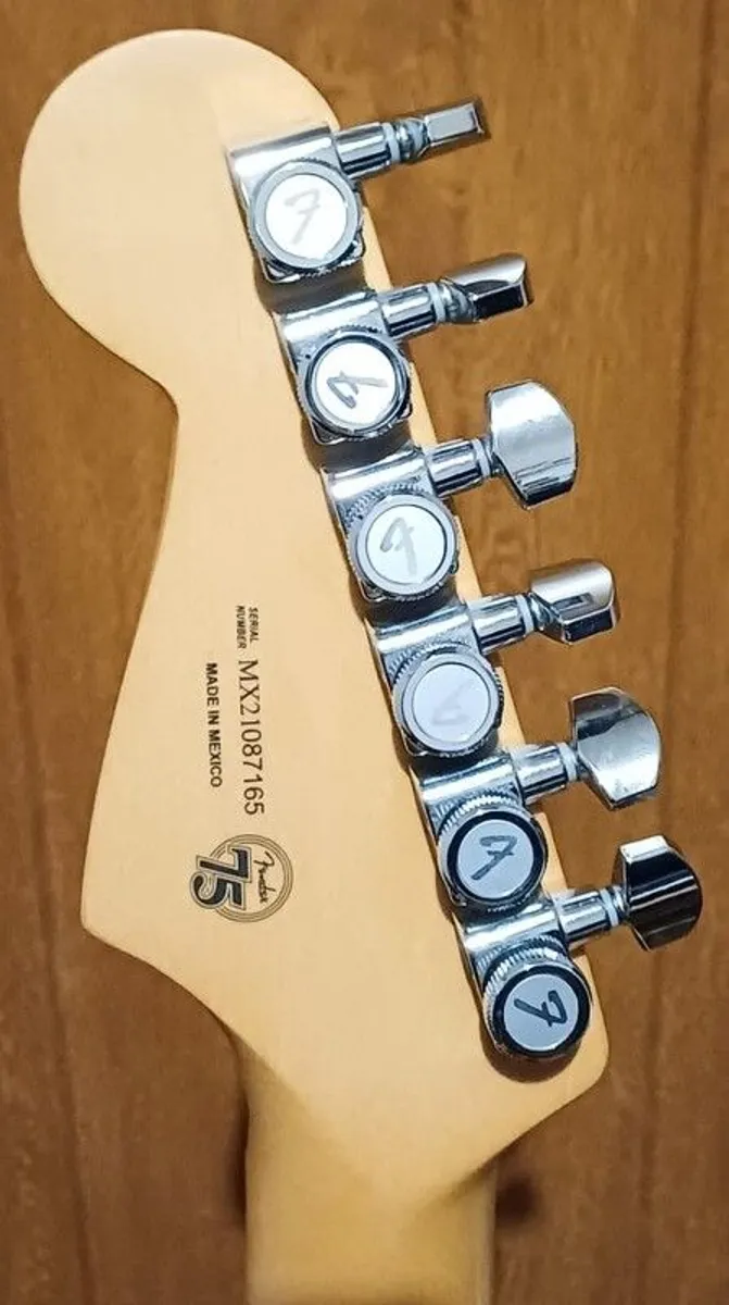 Fender Player Plus Stratocaster - Image 2