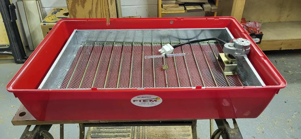 Fiem egg incubator - Image 1