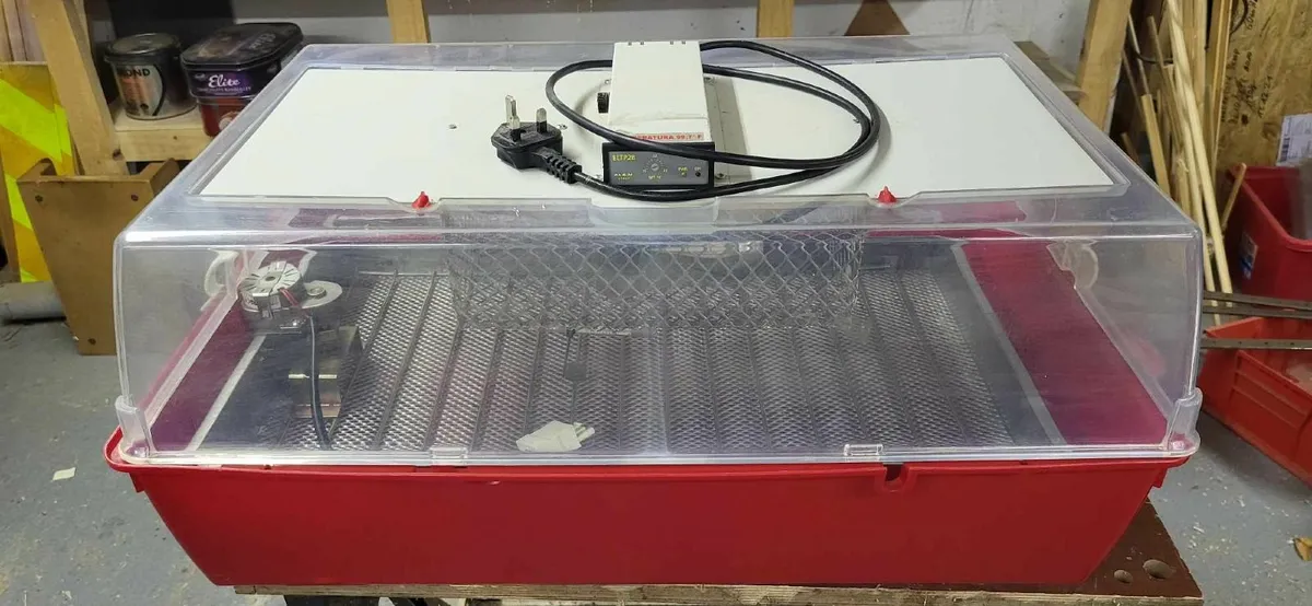 Fiem egg incubator - Image 2