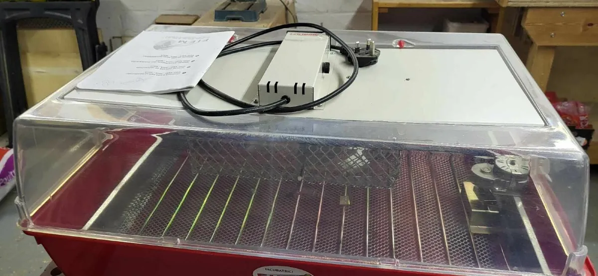 Fiem egg incubator - Image 4