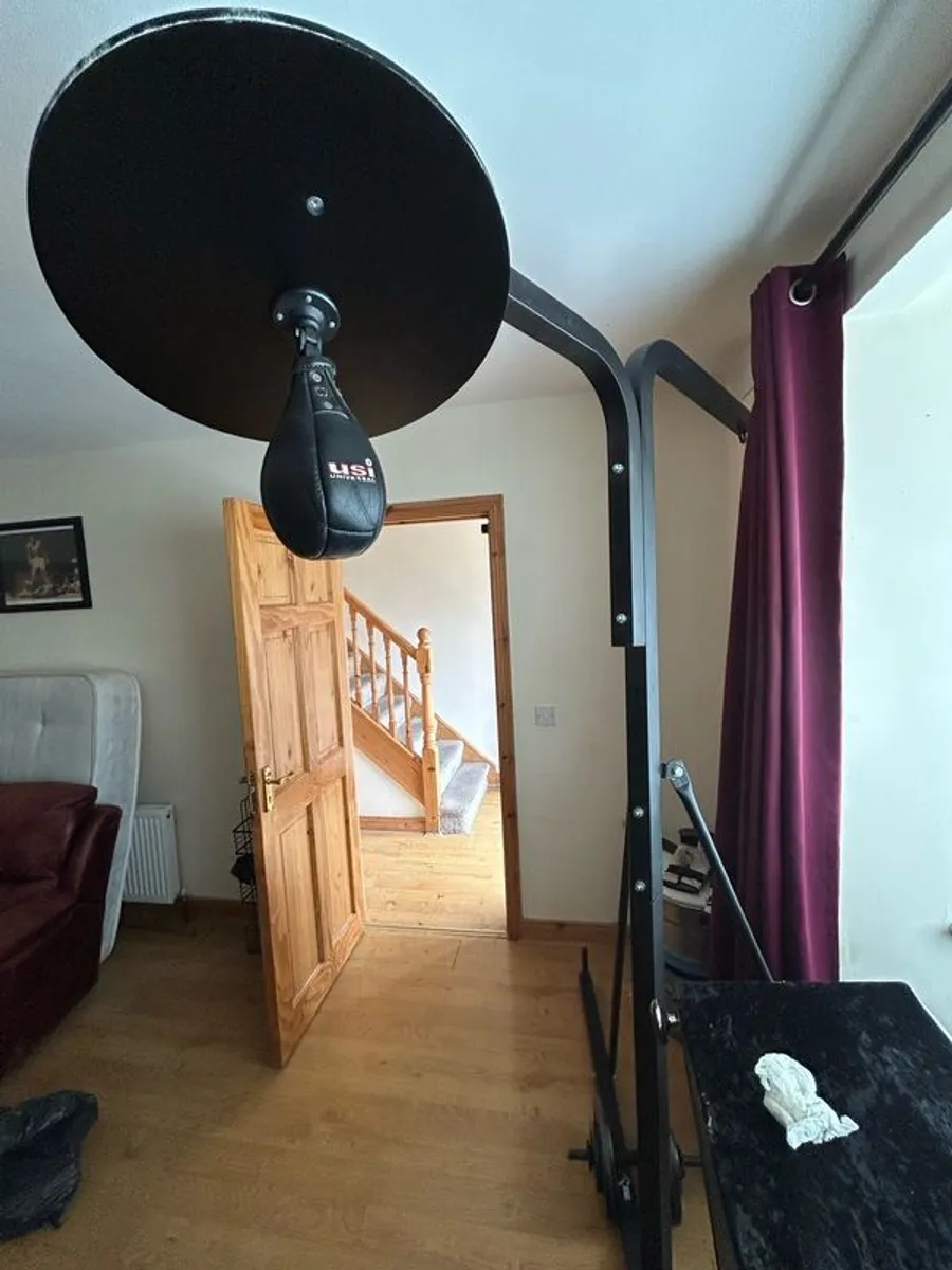 weights - Image 1