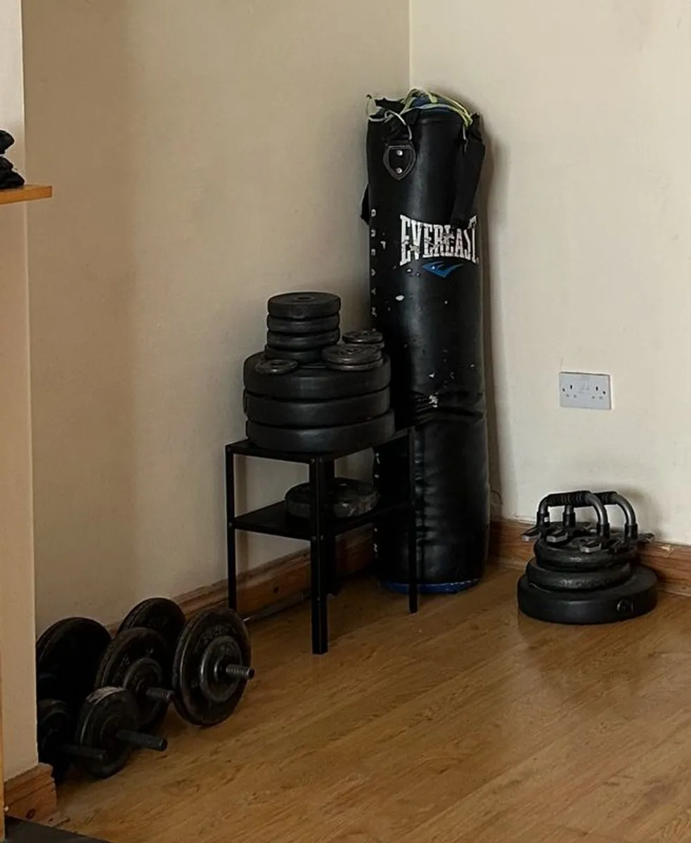 weights - Image 2
