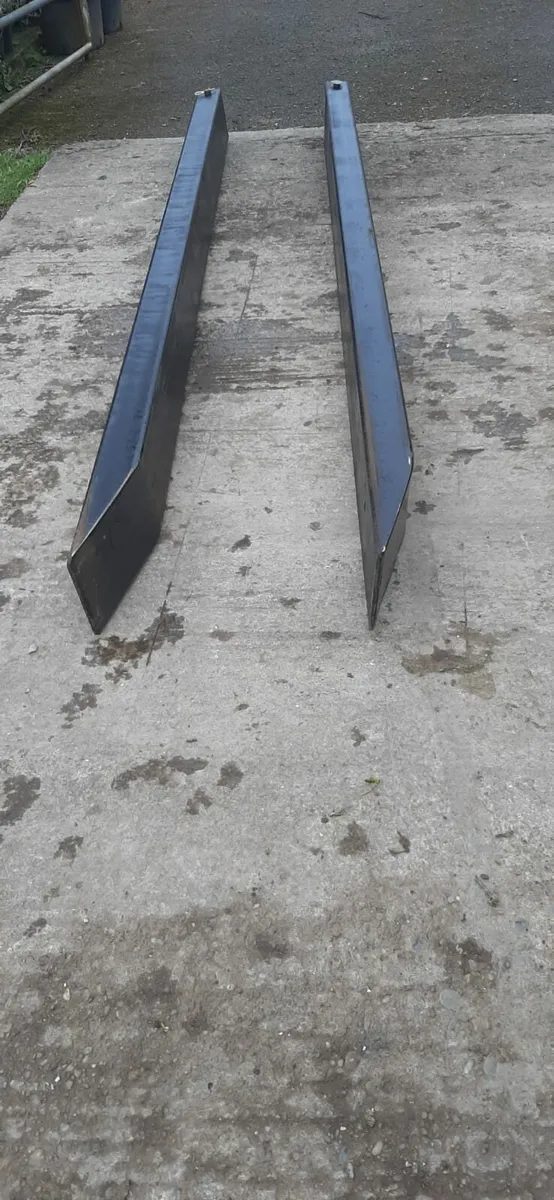 Flaming bale handler and 8" forklift extentions - Image 2