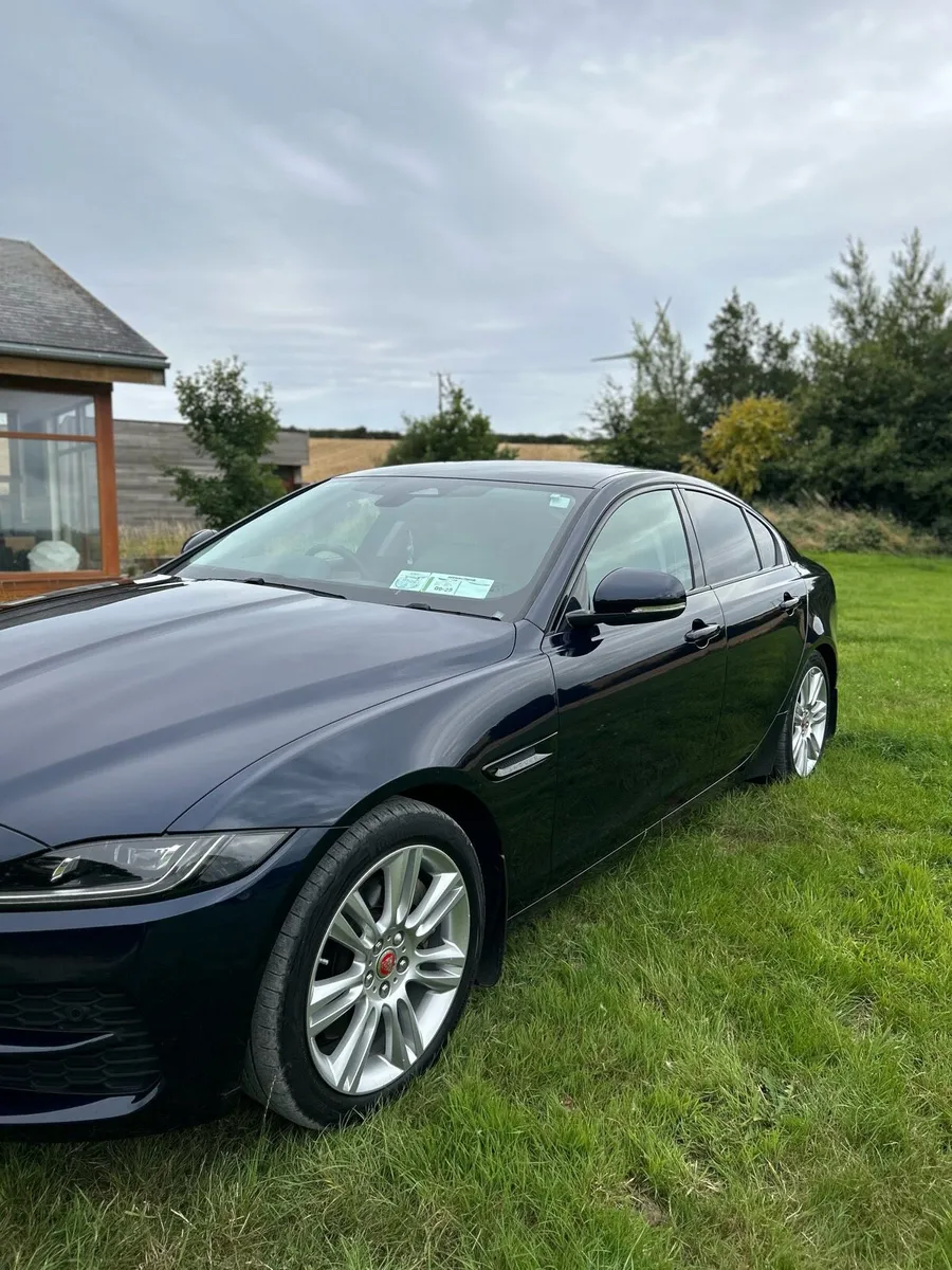 Jaguar xe.  2024 - Image 4