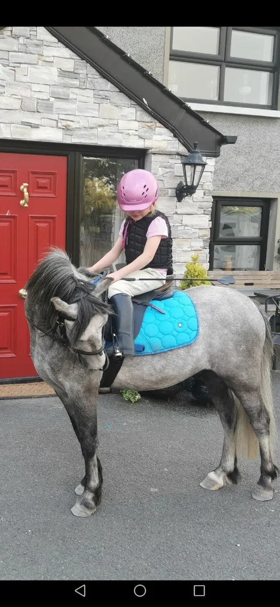 Pony - Image 4