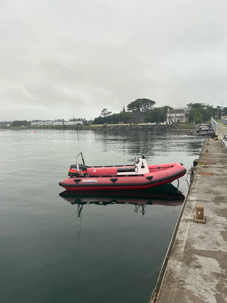 4m rib - Image 3