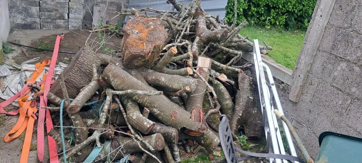 Fire wood