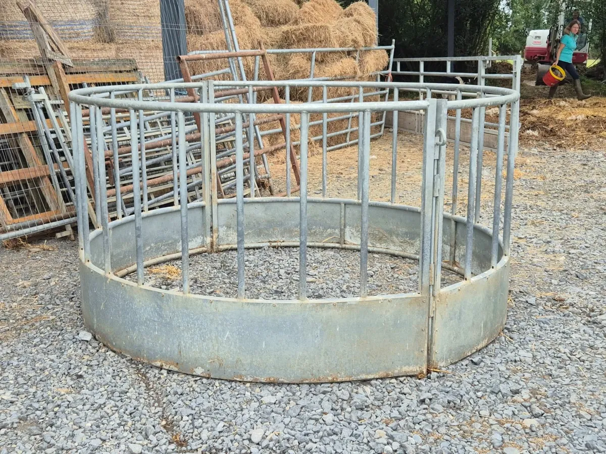 Heavy duty Ring Feeder Cattle / Sheep/ Horses - Image 2