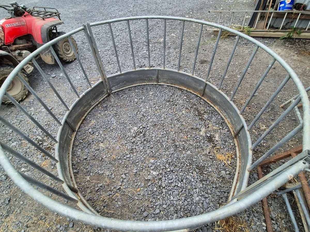 Heavy duty Ring Feeder Cattle / Sheep/ Horses - Image 3