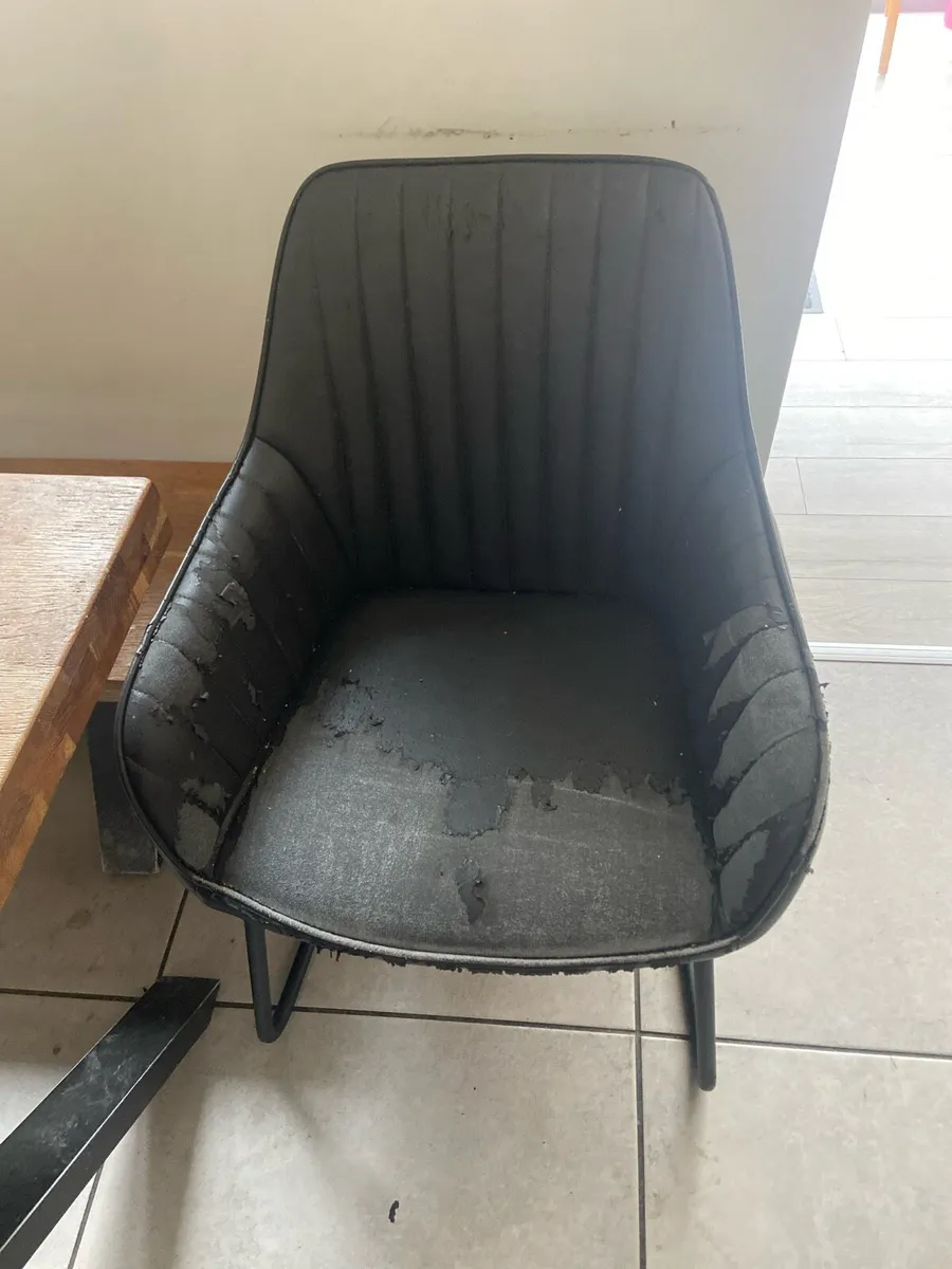 Dining Chairs - Image 1