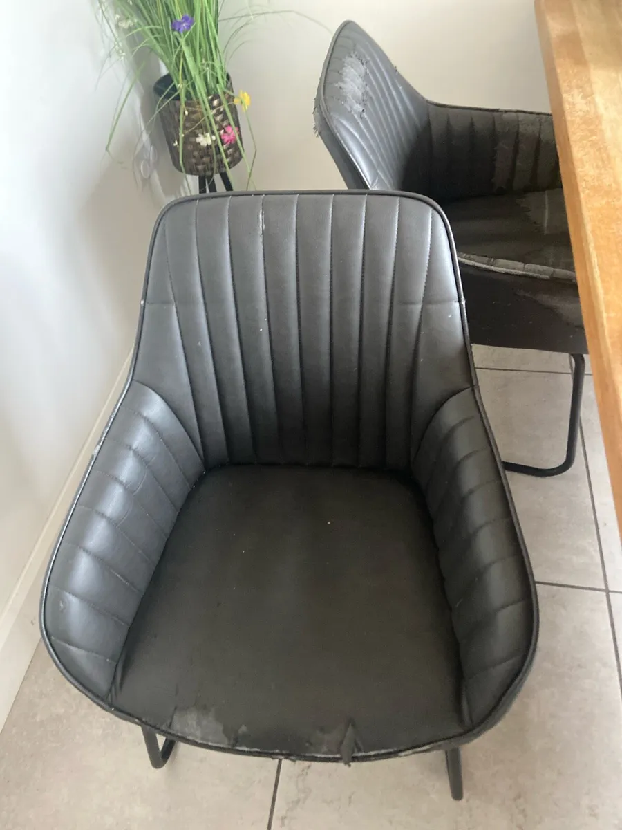 Dining Chairs - Image 4