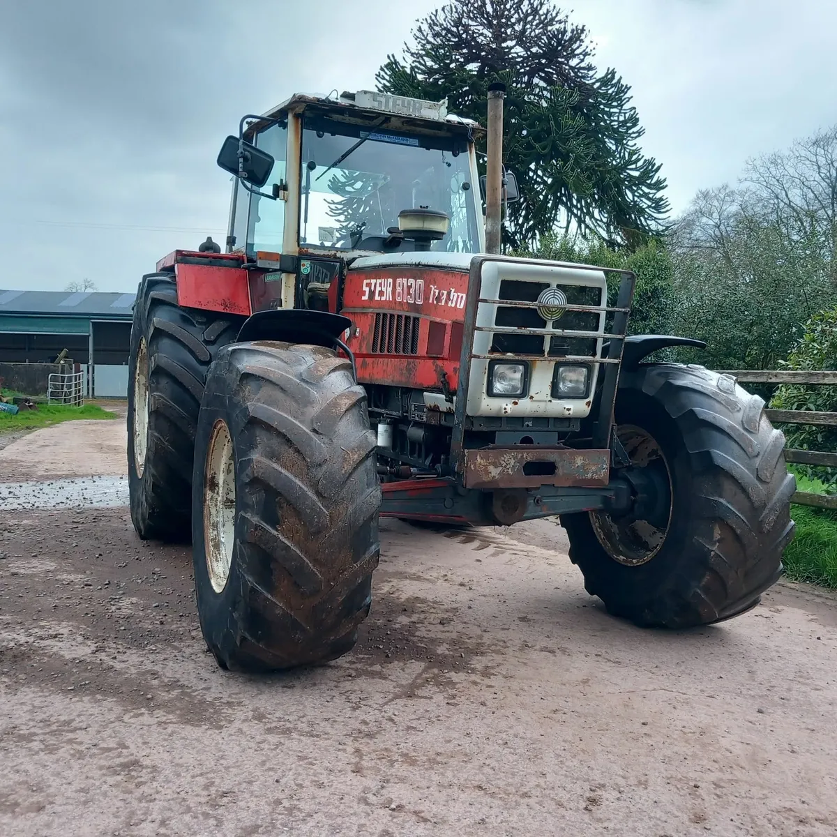 STEYR 8130 - Image 1