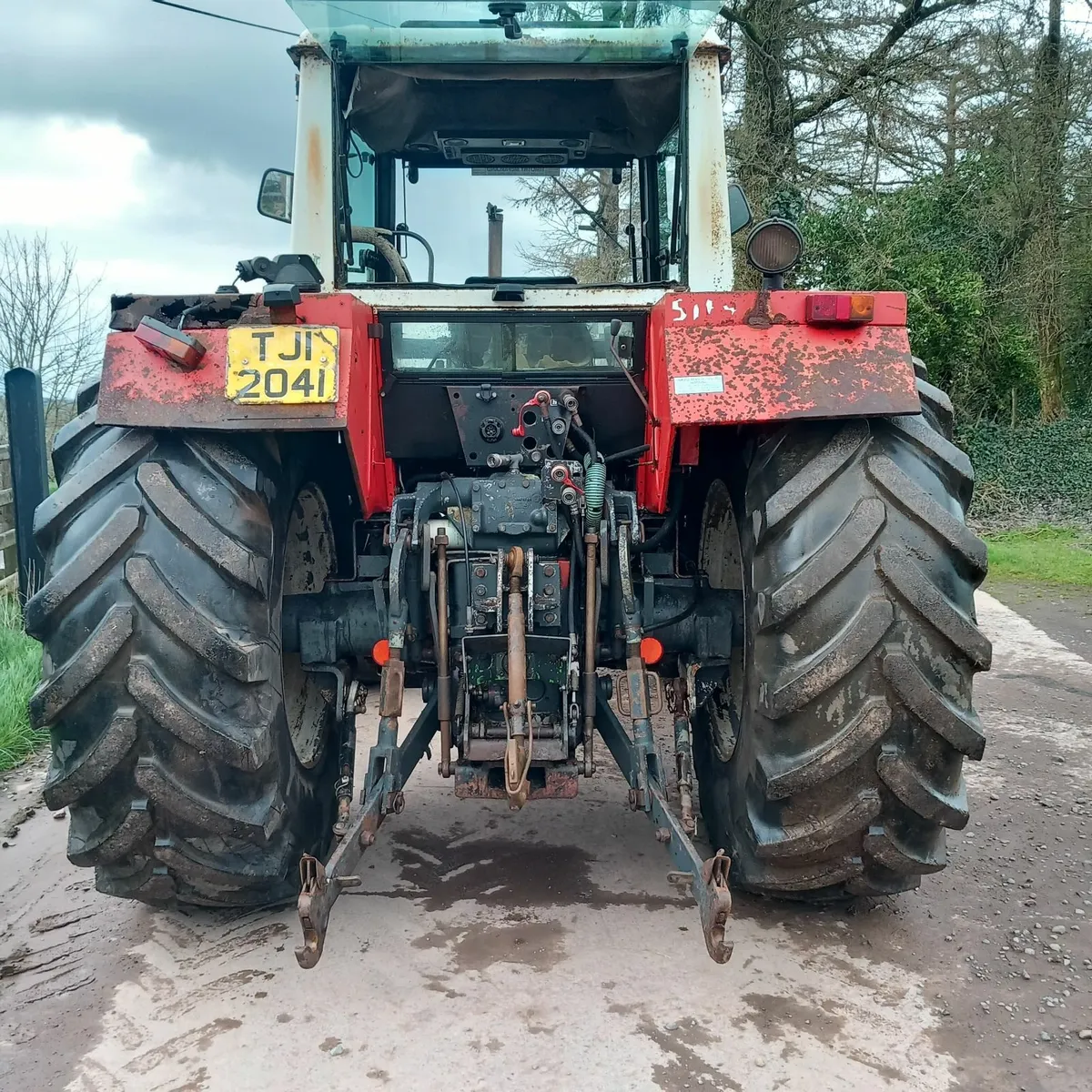 STEYR 8130 - Image 2