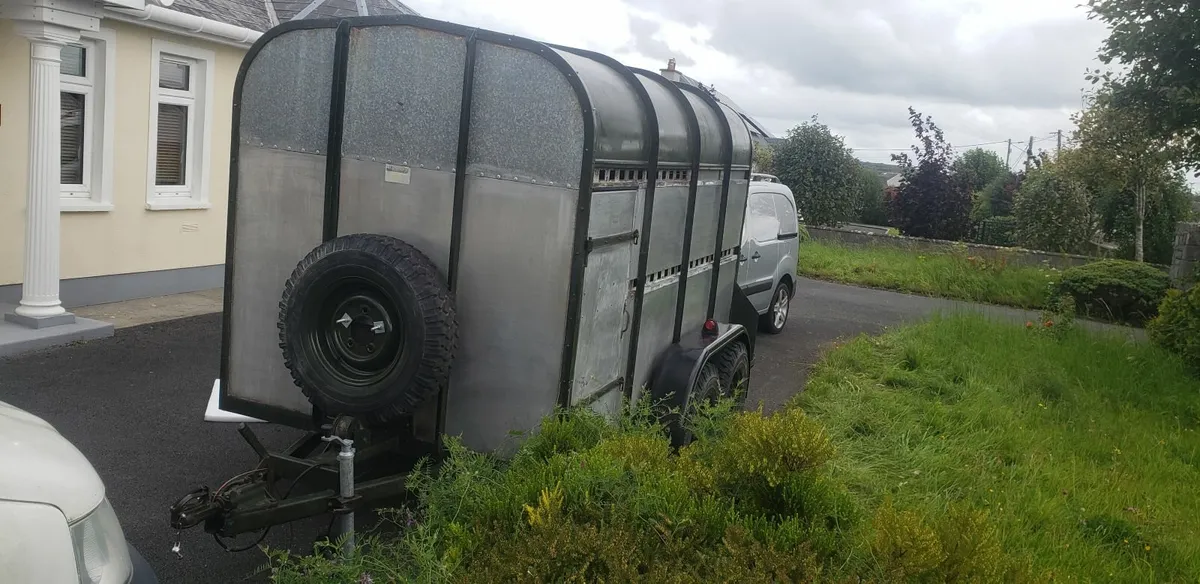 bateson 10ft x 5ft 8" livestock trailer vgc - Image 3