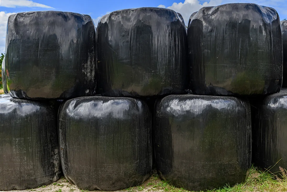 Silage