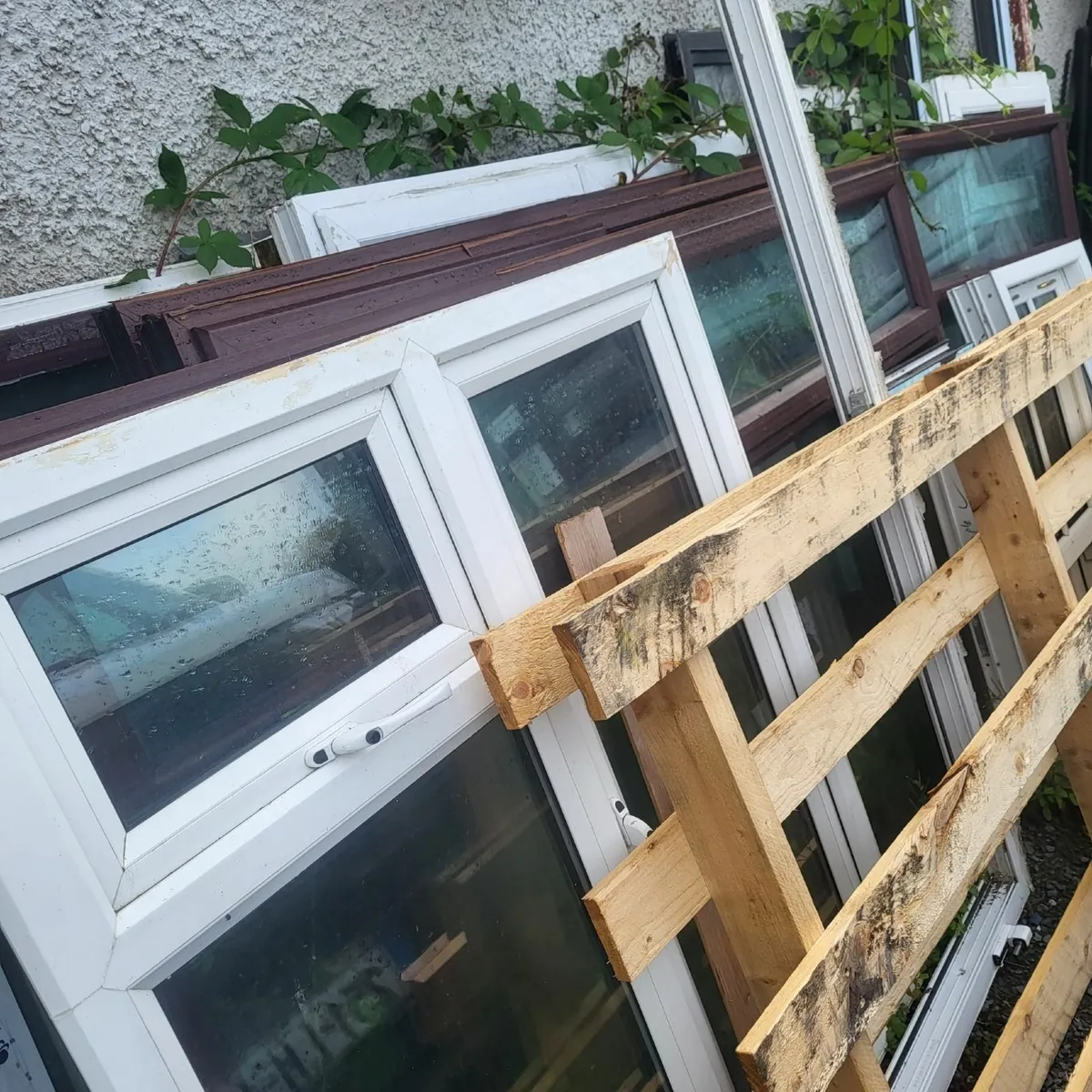 Windows and Doors - Image 1