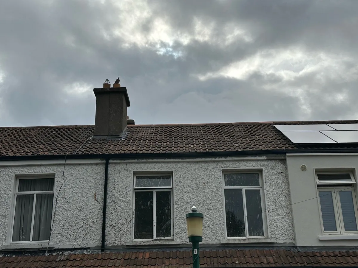 1920s roof tiles - Image 1