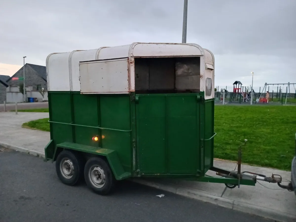 Galway horse box - Image 1