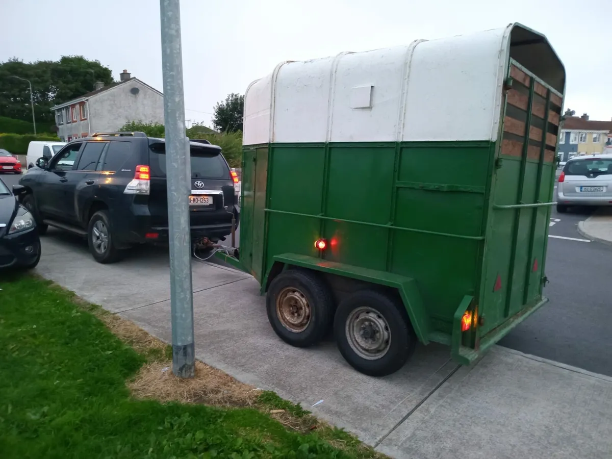 Galway horse box - Image 3