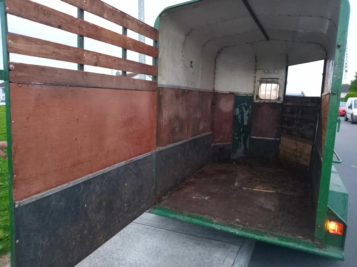 Galway horse box - Image 4
