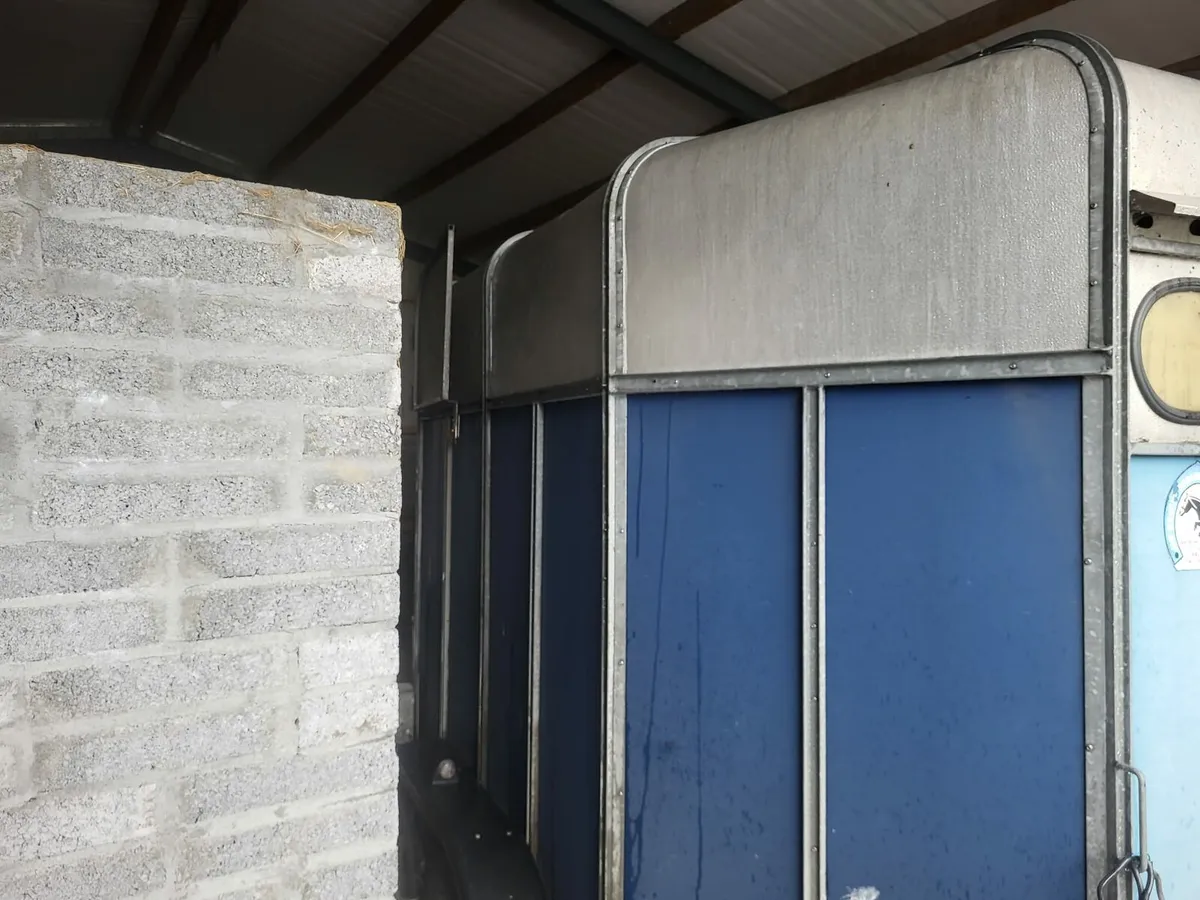 Horse box / Mare & Foal - Image 2