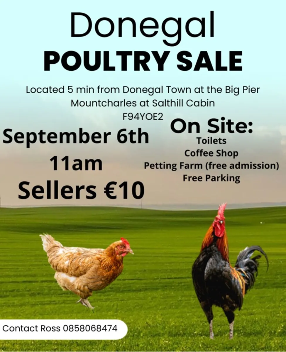 Donegal Poultry Sale September 6th